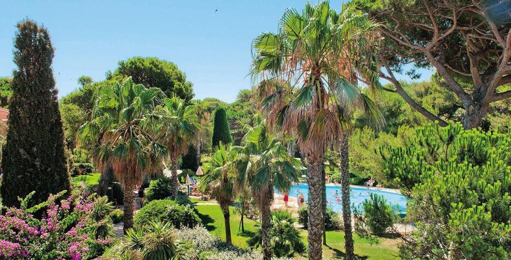 La Badine 5P Plage Piscine Clim Jacuzzi Parc Luxuriant Hyeres Ngoại thất bức ảnh